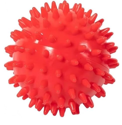 �G�o�{�[�� �}�b�T�[�W ���K �̑� �M���j�N�{�[�� ���f�B�V���{�[�� (���a9cm)