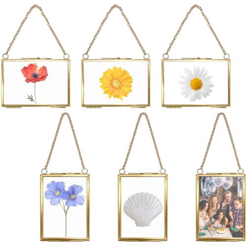 Czfyzhzxj 6 Pcs Brass Hanging Mini Photo Frame Double Glass Floating Picture Frame with Chain Vintage DIY Display Frame for Pressed Flowers Artwork Home Wall Decor(3.5x2.5 Inch)