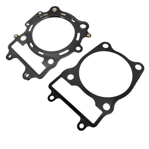 Cilindro y kit de pistón de repuesto compatible con vehículos de motor 196MS-1032000 y LU065298 5