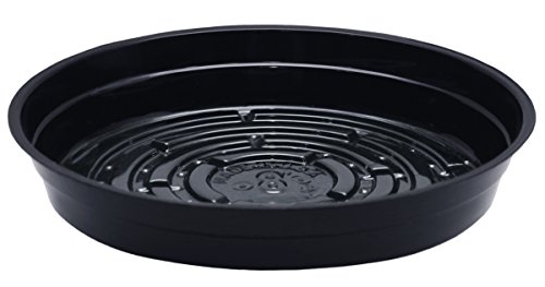 CWP BLK-808 Platillo de Vinilo para Plantas, 8 Pulgadas, Negro