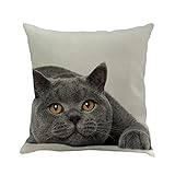 ukko 3d cat stampa federa fashion cuscino di moda casa decorativa auto divano camera da letto cuscino copertura divano letto decor cuscino-c