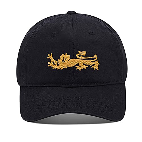 Gorra de béisbol bordada England Lions en algodón lavado miniatura 1