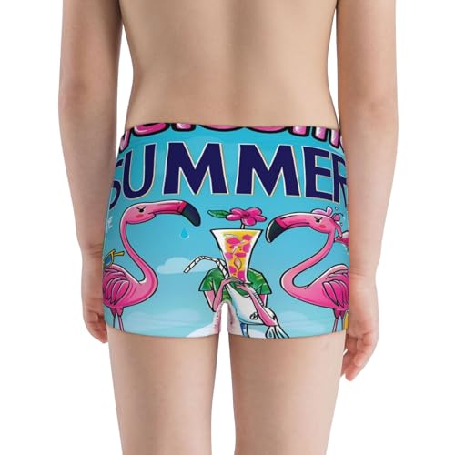 Boys' Cotton Boxer Brief Soft Underwear-Beach Flamingo Trio3