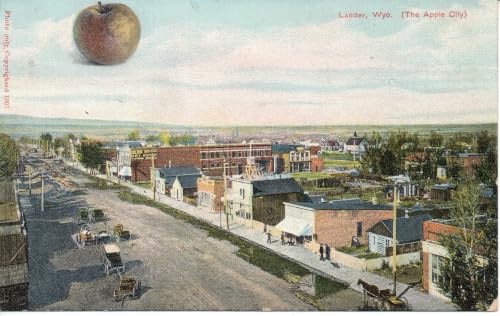 Rooted in History: Exploring the Ed Young Apple Orchar