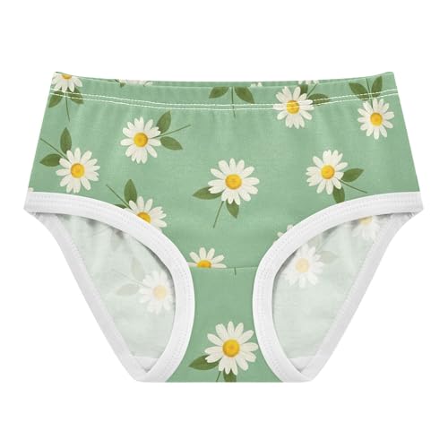 White Daisies Green Leaves Girls Underwear Toddler 2t Cotton Panties Little Girl Cartoon Briefs Girls Undies