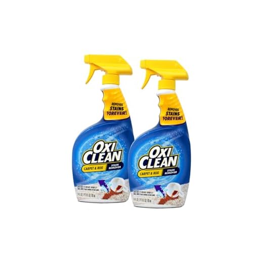 OxiClean Carpet and Area Rug Stain Remover Spray, 24 Ounce 2 Pack
