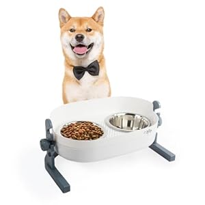 All for Paws Dog Elevated Bowls Stainless Steel Dog Food Water Bowls, Height Adjustable Raised Dog Feeder Mess Proof Pet Feeding Bowls for Small to Large Size Dogs