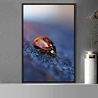 Framed Canvas Wall Art Ladybug Expressive Farmhouse/Country Home Office Insects Lake Multicolor Photography - 16x24 inches