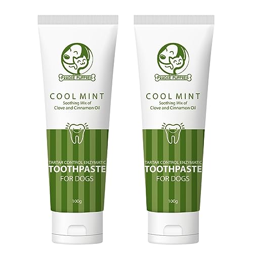 COOLMINT TOOTHPASTE  - Pack of 2
