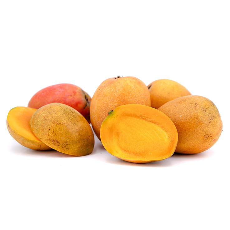 Mini Mango Irwin 1 kg, La Parcela, Origen España, Andalucía (Costa Tropical), Comprar Mango Fresco, De La Huerta A Tu Casa, Producto de Cooperativa Granada La Palma