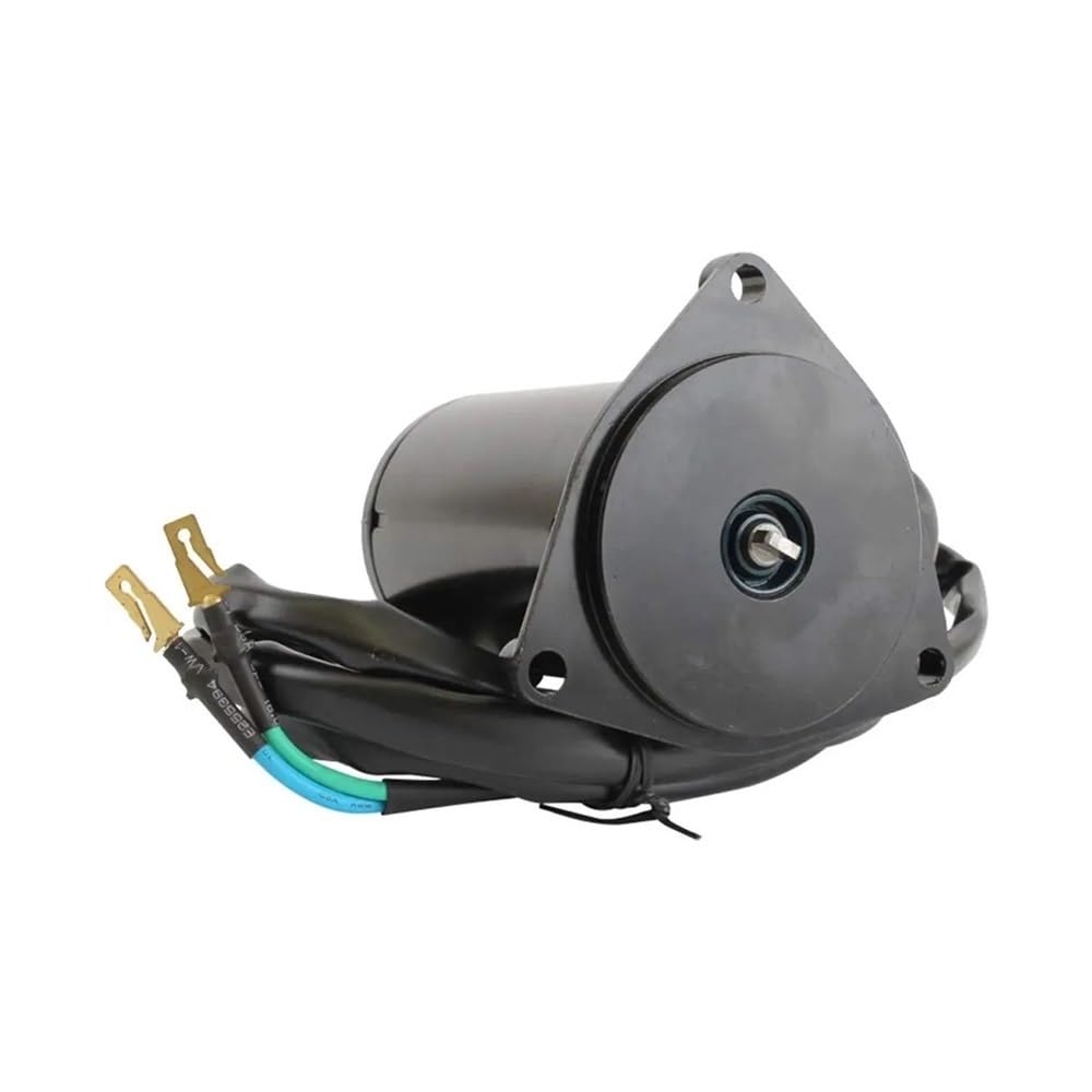 Moteur de trim d'inclinaison indispensable pour naviguer en mer avec E100STL - 6