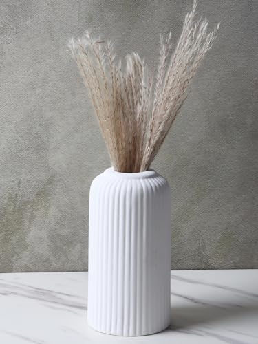 Image of KREATIVE ART'S Ribbed Pipe Ceramic Vase for Flowers, Pampas Grass | Decorative Home & Office Centerpiece Gift - No Flowers- (White, 6 Inch)