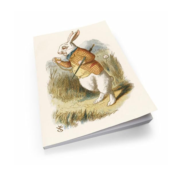 Cahier vierge Lapin en veste pour surmonter le manque d'espace