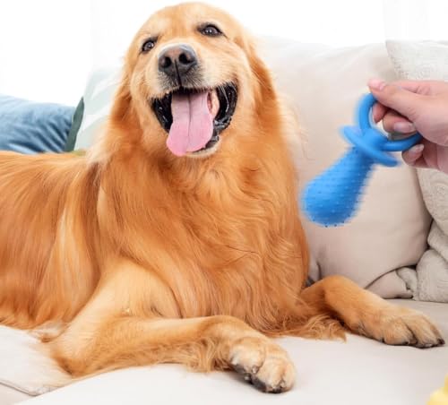 Blauer Schnuller für Hunde, Kauspielzeug, Mini-Bissresistent, Glockenform, Gummi-Schnuller, Glocke, Kauspielzeug, Spiel-Trainingsspielzeug für Haustiere, Welpen, Hunde, Welpen, Molar, Kauspielzeug