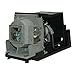 TLP-LW23 Toshiba Projector Lamp Replacement. Lamp Assembly with OEM Compatible Bulb Inside