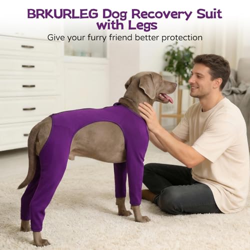 Image of BRKURLEG 4-Leg Dog Recovery Suit, Leg Wound Protector, Purple S | Soft Surgical Onesie Protects Leg Wounds, Elbow & Knee Cover, Warm Dog Legs, Cone Alternative, Allows Easy Potty Access