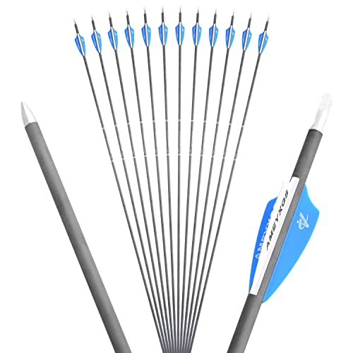 HNZMDY Bogenschießen Rein Carbonpfeile Kohlenstoff Pfeile 31 Zoll Bogenpfeile Spine 500/600/900 für Recurvebogen Langbogen Schießen (6pcs, Spine 900)