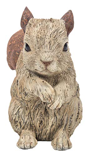 Hi-Line Gift 87650-I Squirrel Driftwood Look #TOP16