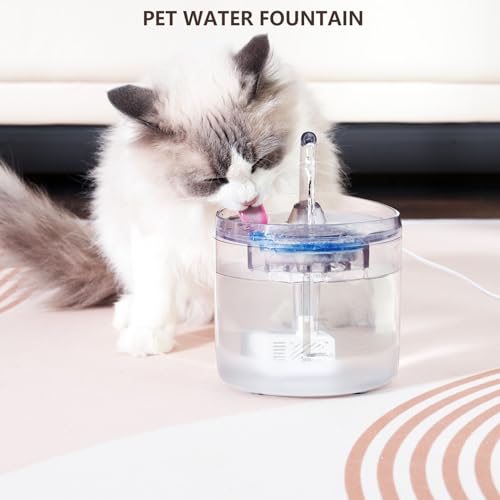 Fontaine à eau pour chat transparente pour stimuler les chatons à boire - 4