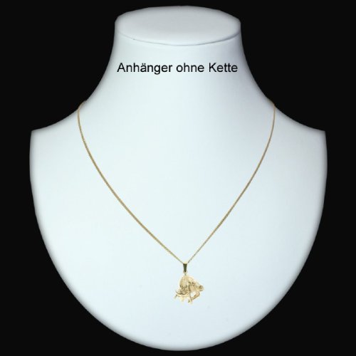 InCollections 1000100529100