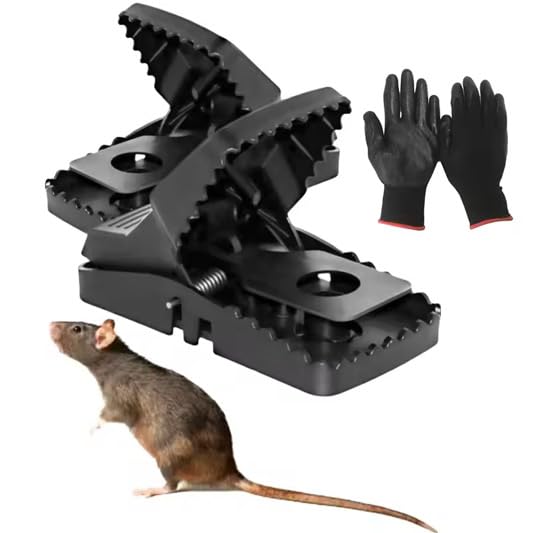 XXL 21cm Rat Traps - 2 Pack Large Heavy Duty Reusable, Rodent Vermin solution, UK Seller, by Mamax