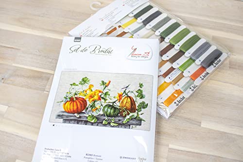 Luca-S Cross Stitch Set, Multicoloured, 49x35cm - Image 4