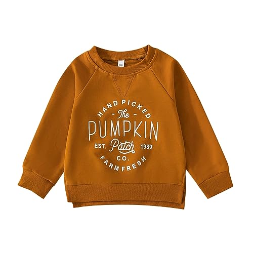 Generisch Sudadera de cuello redondo para bebé, para Halloween, de manga larga, para otoño, marrón, 4-5 años