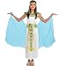 AMSCAN Shimmer Cleopatra Halloween Costume for Girls, Medium, with Included Accessories