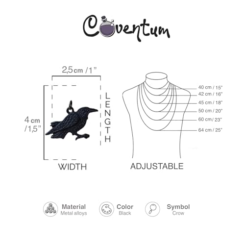 925 Sterling Silver Raven Necklace – Huginn & Muninn Odin Pendant with Black Onyx & Runes – Handmade Norse Viking Jewelry for Men & Women – Spiritual Crow Symbol Gift4