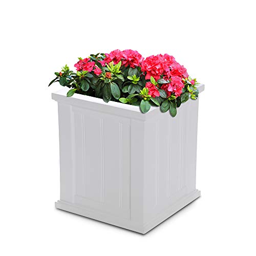 Mayne 4837-W Cape Cod Polyethylene Planter, 16" X 16", White #TOP16