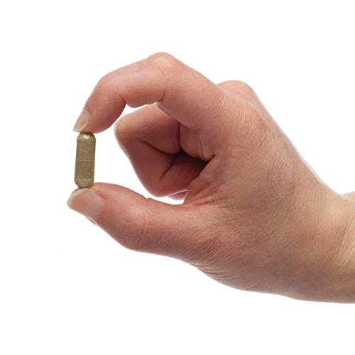 Petalive Pancreas Booster - All Natural Herbal Supplement For Pancreatic Health And Digestive Functioning In Cats And Dogs - Supports Healthy Insulin Production - 60 Veggie Caps #TOP2