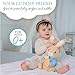 Beatrix Potter Peter Rabbit Plush with Carrot, 13 Inch Soft Stuffed Animal, Classic Peter Rabbit Toy for Babies, Toddlers, and Collectors