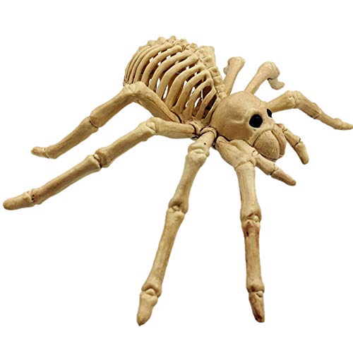 Huemny - Modelo de esqueleto de araña horrorizado realista, modelo de esqueleto para decoración de Halloween Cover
