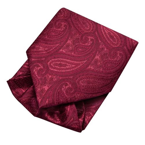 Image of Dubulle Paisley Floral Ascot for Men Self Tie Mens Cravat and Pocket Square Cufflinks Wedding