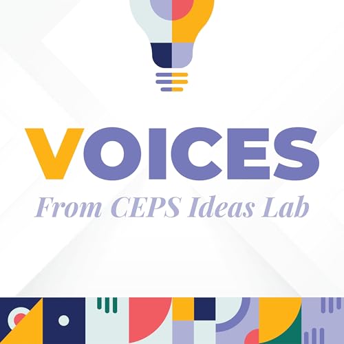 Does GDPR need to be reformed? ft. Paula G&uuml;rtler