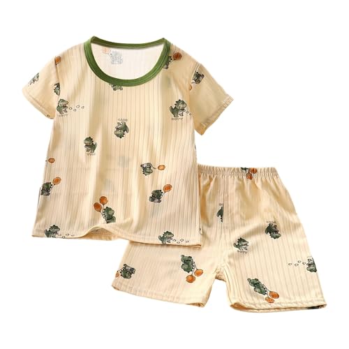 [Cousannory] pW} LbY OJ   q ZbgAbv ㉺Zbg [EFA n[tpc iCgEFA  c    Q QԒ ʉ ʊw lC i   풅  m(