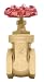 2" Brass Gate Valve - 200WOG, FxF NPT