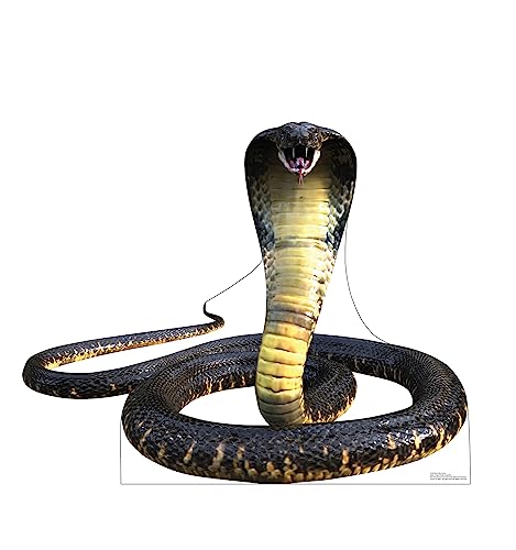 Image of Cardboard People King Cobra Snake Life Size Cardboard Cutout Standup - Made in USA