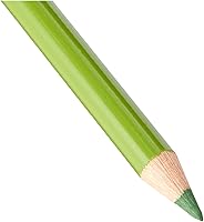 Vista 140 de Faber-Castell Polychromos Artists' Single Pencil - Colour 267 Pine Green
