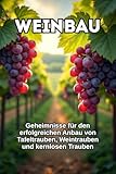 Weinbau: Grundlagen und Praxis der Rebenkultur