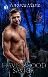 Cover zum Buch Havenwood Savior
