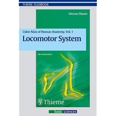 Locomotor System