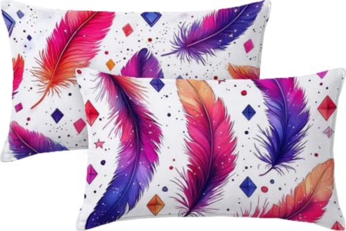 Housse de coussin velours 60x40 imperméable avec fermeture éclair cachée lot de 2