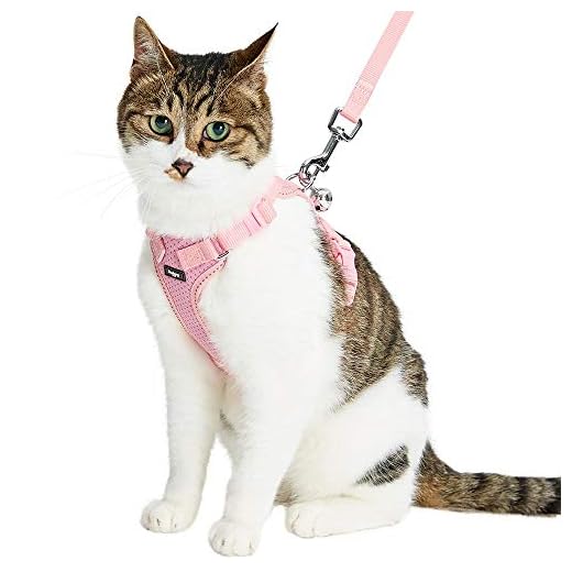 Blueberry Pet Reflecterende kat harnas & riem set met bel, baby roze