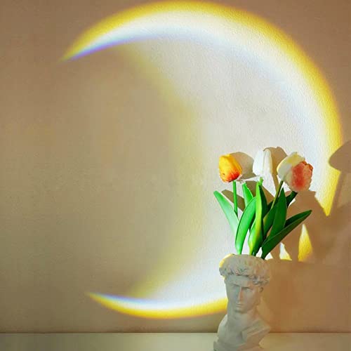 Moonlight Lamp 360 Degree USB LED Projection Lampe de Lune Blanc, Chambre à Coucher éclairage, Romantique Clair de Lune Blanc pour Mariage, Anniversaire, Fête Cover