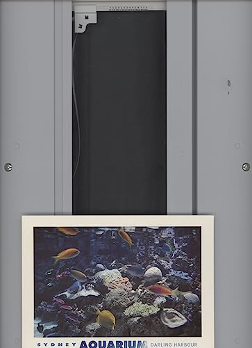 Sydney Aquarium & Great Barrier Reef Coral Postcard