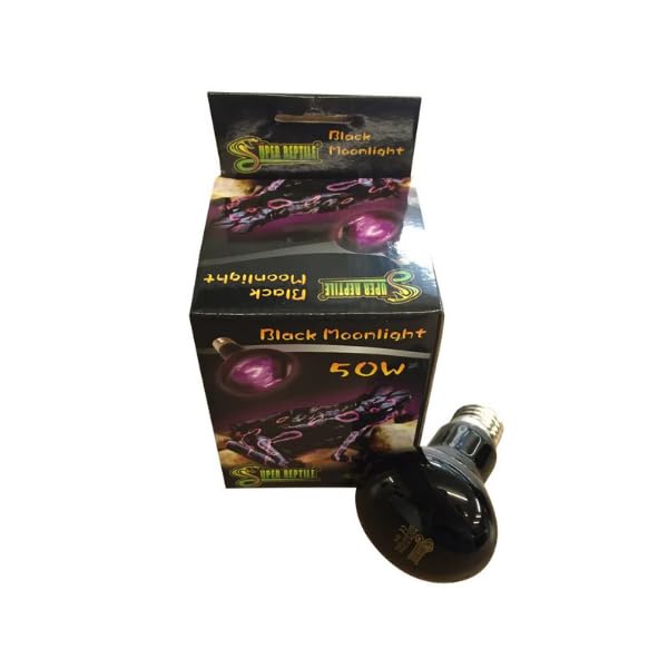 Reptile Black Moonlight Florescent Spotlight Bulb Lamp for Vivarium/Terrarium 50/75/100/150w (75w)