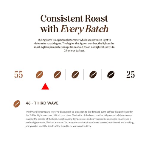 Boxer Coffee Light Roast En Grano 2.5 LB miniatura 2