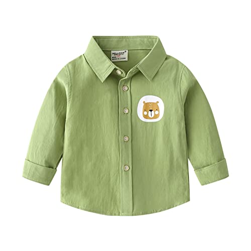 Kids Children Toddler Infant Baby Boys Girls Long Sleeve Cotton Cute Cartoon Printed Shirt Dinosaur (Green, 4-5 Years)
