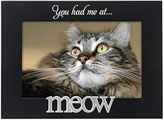 Malden Expressions Black Wood Picture Frame, You Had Me at Meow, 4